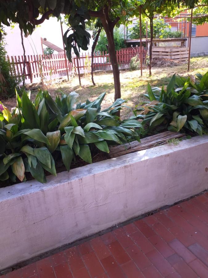 Apartment Obiteljska Kuca Cuic Pula